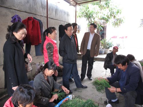 攀枝花市政协视察调研“妇女之家”建设